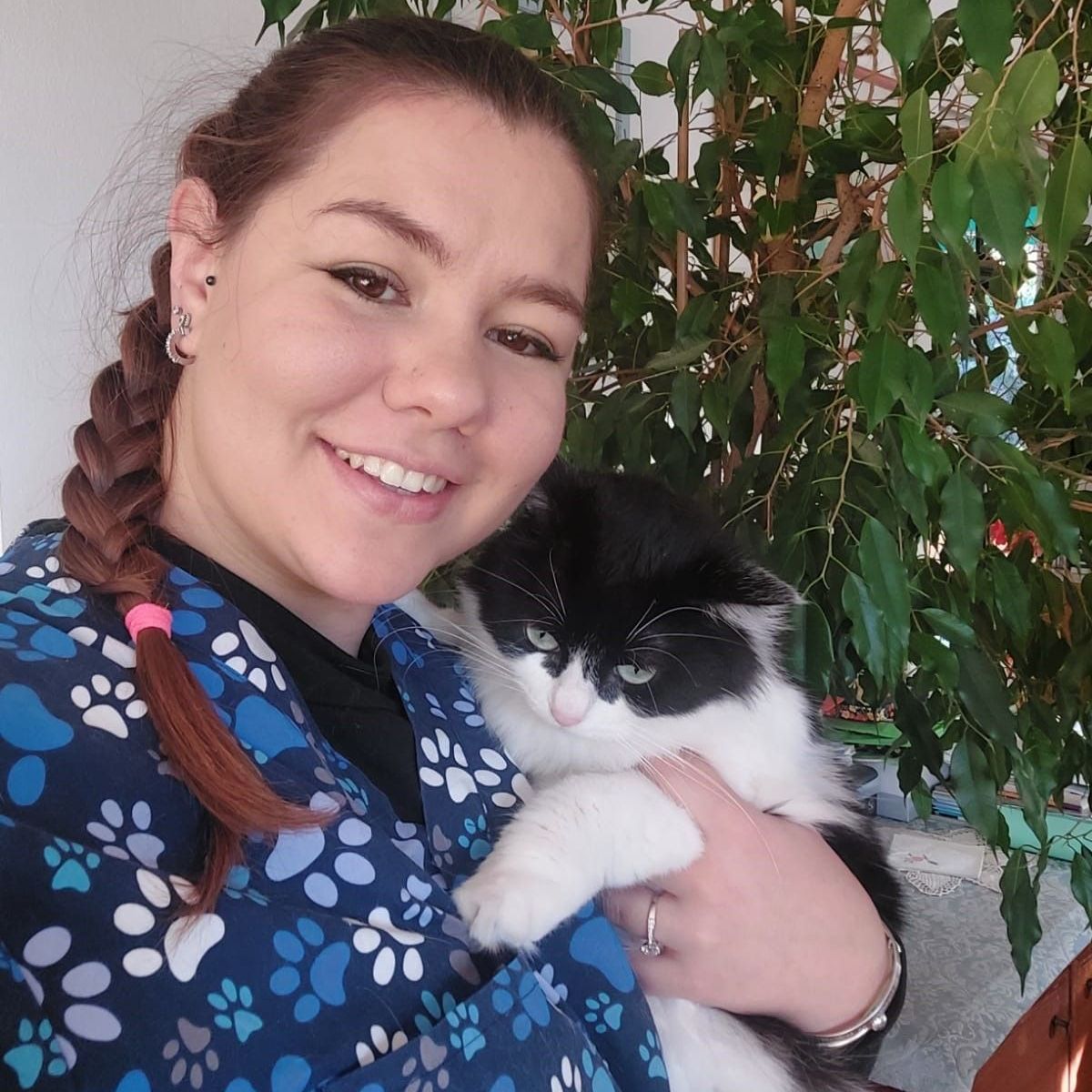 clinica veterinaria spinnato - ipertiroidismo del gatto