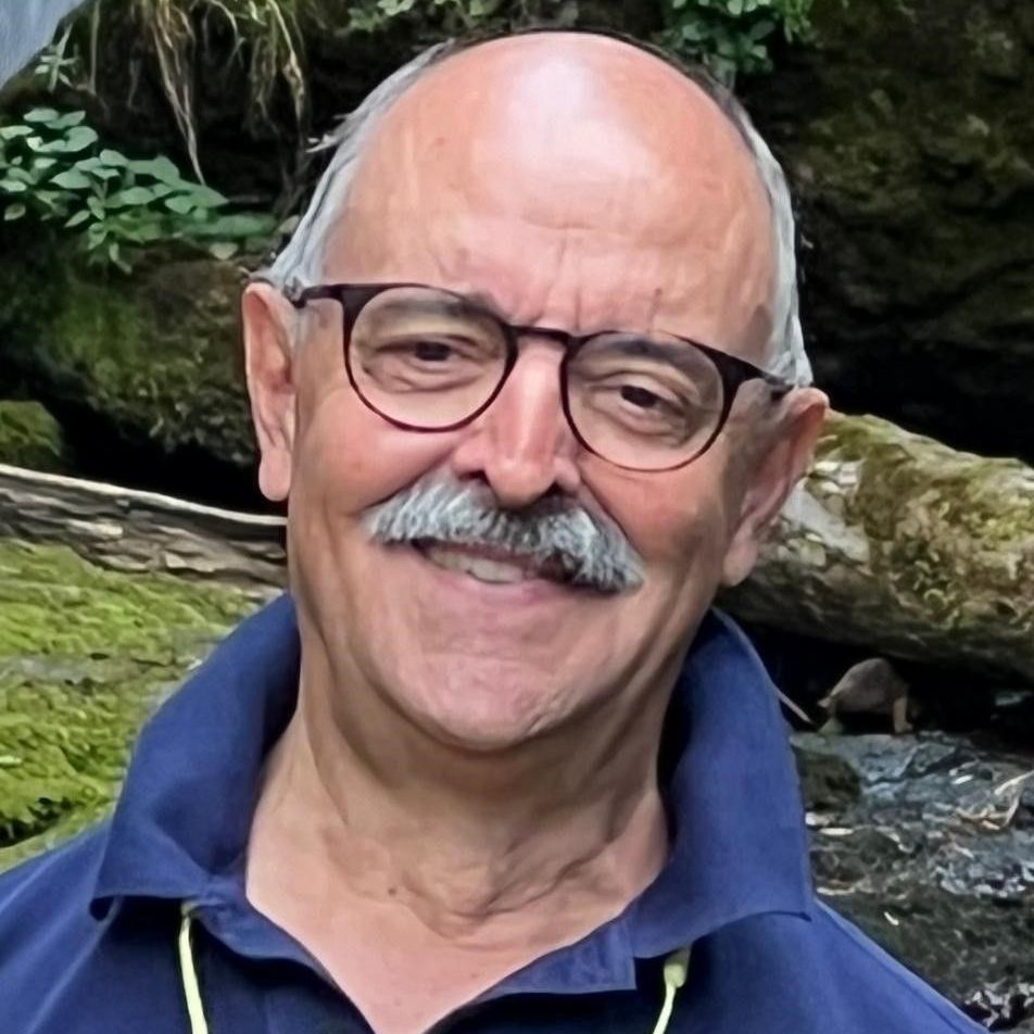 clinica veterinaria spinnato - ipertiroidismo del gatto