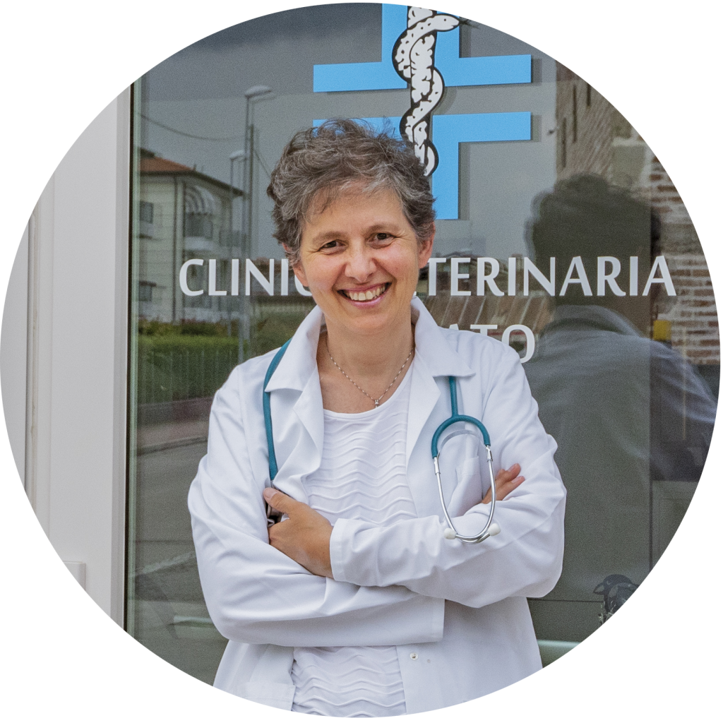 clinica veterinaria spinnato