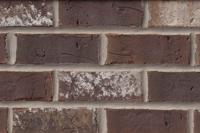 Close-up of a brick wall with dark brown bricks and white mortar. Some bricks have white patches.