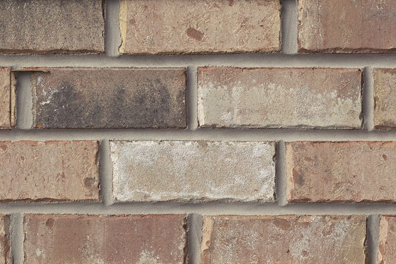 Close-up of a brick wall with varying shades of brown and tan, mortar between bricks.