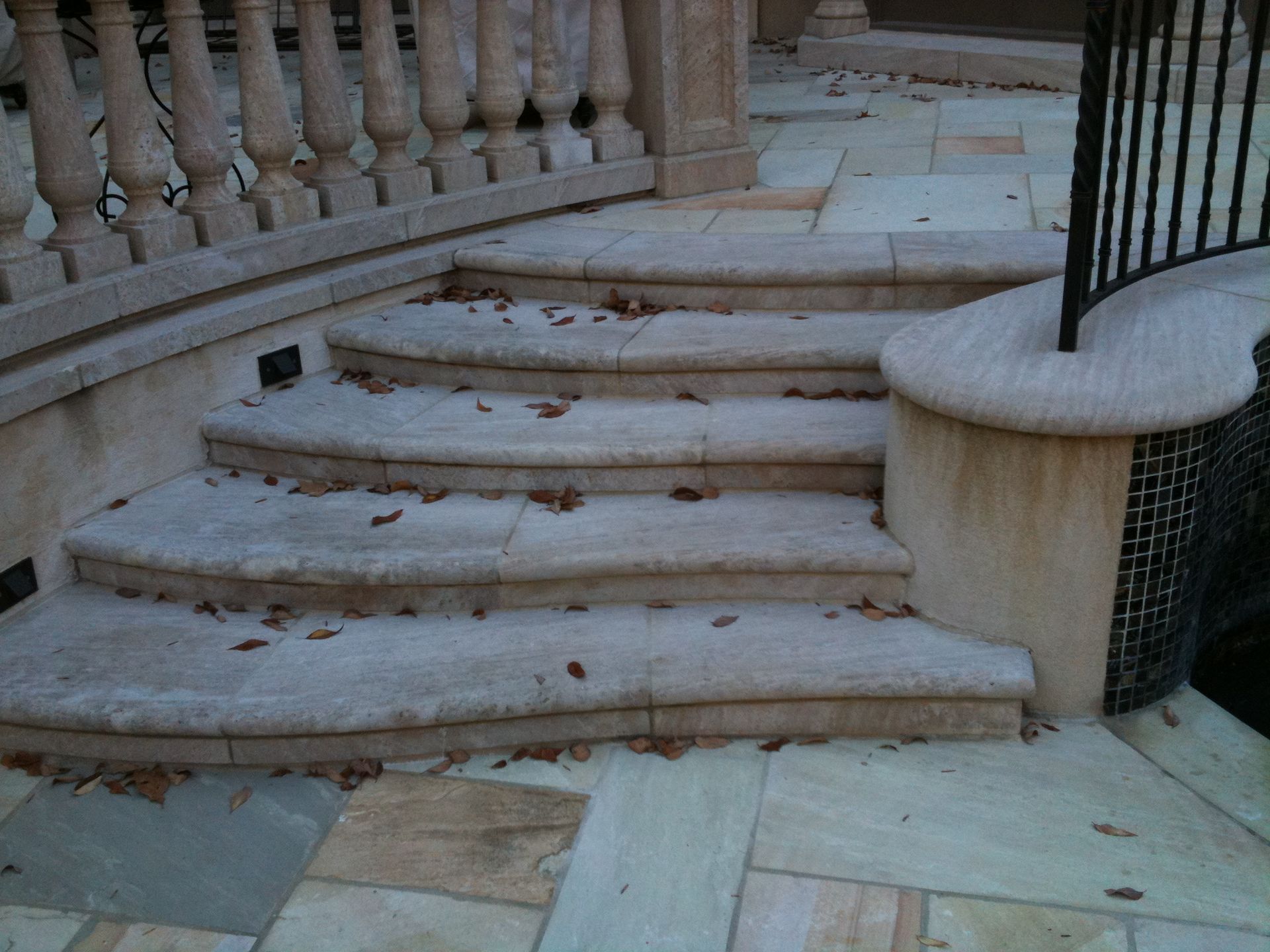 Stone steps with fallen leaves, leading up to a balustrade.