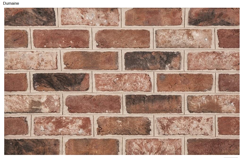 Brick wall, red-brown bricks with varying hues, light mortar joints.