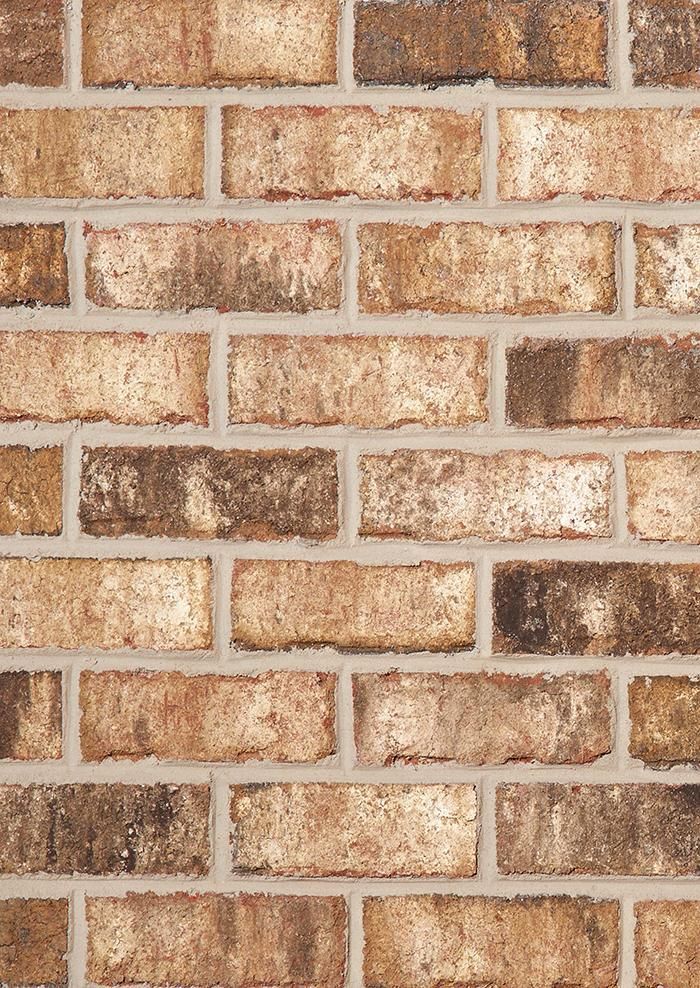 Close-up of a brick wall with varied shades of brown and tan bricks, separated by light gray mortar.