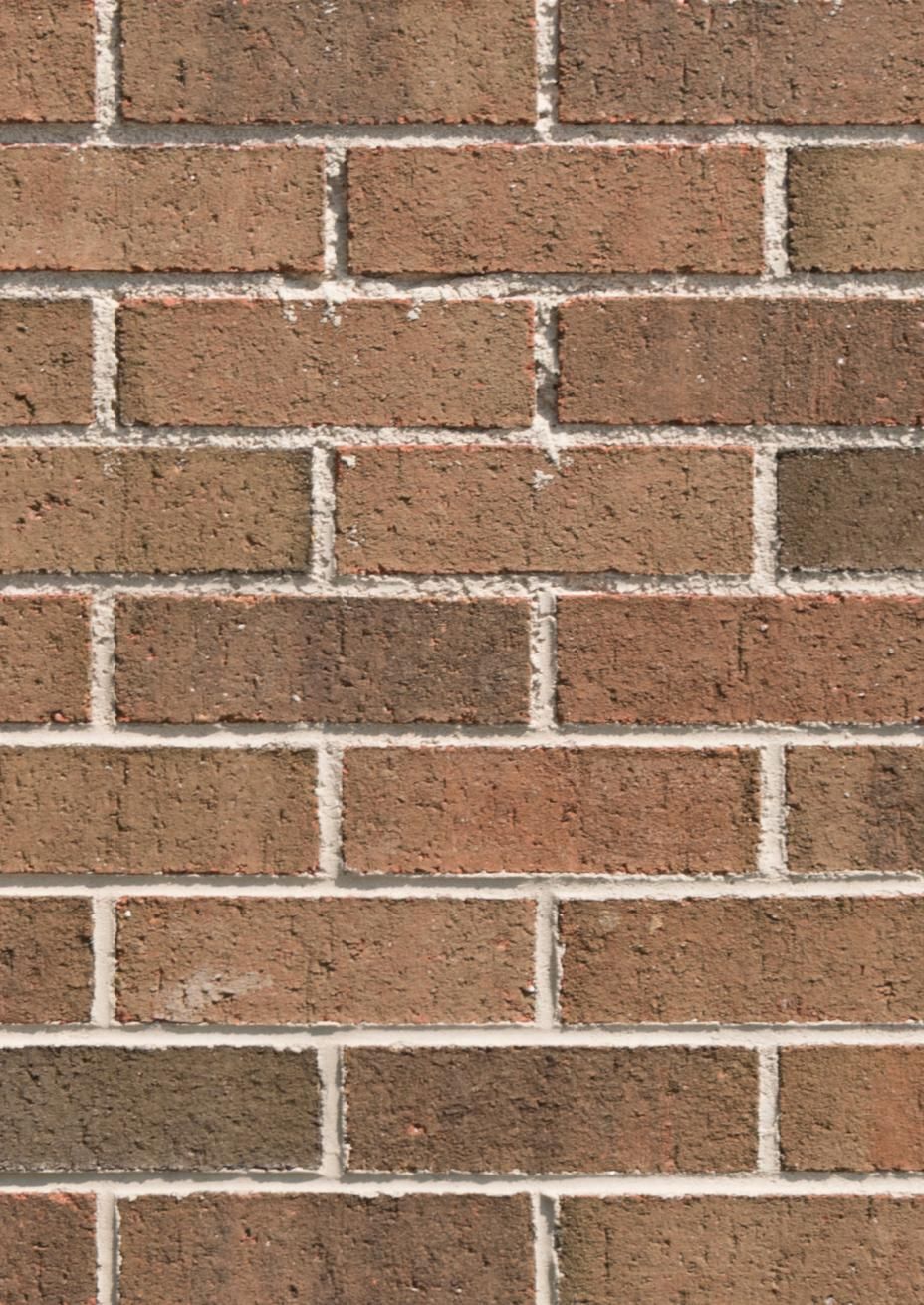 Close-up of a brick wall, composed of reddish-brown bricks separated by white mortar.