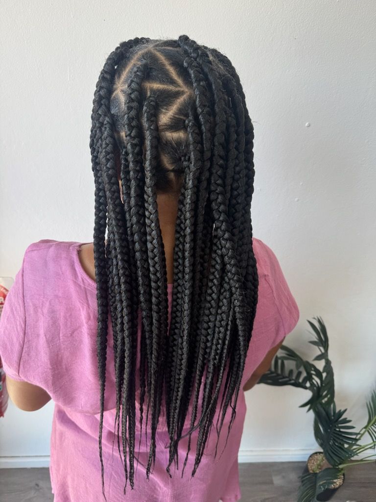 A little girl with braids in her hair is wearing a pink shirt.