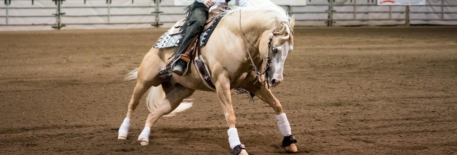 Man competes in Reining Horse Competion