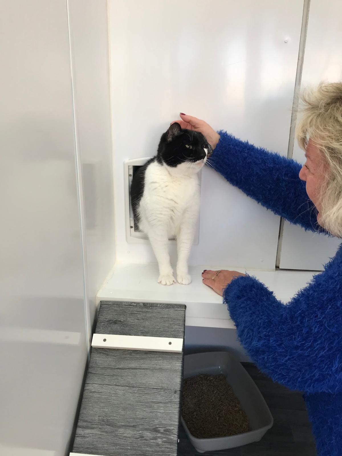 A woman in a blue sweater is petting a black and white cat