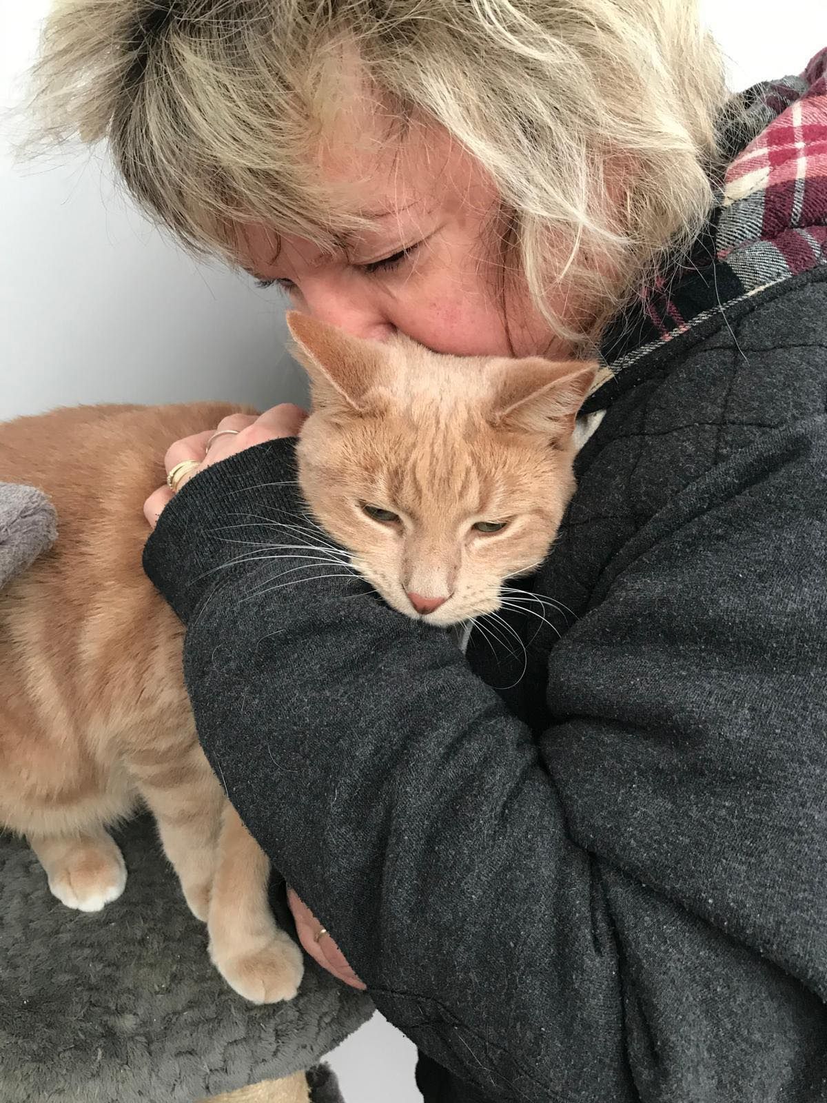 A woman is holding an orange cat in her arms.