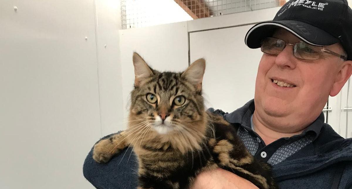 A man is holding a cat in his arms and smiling.