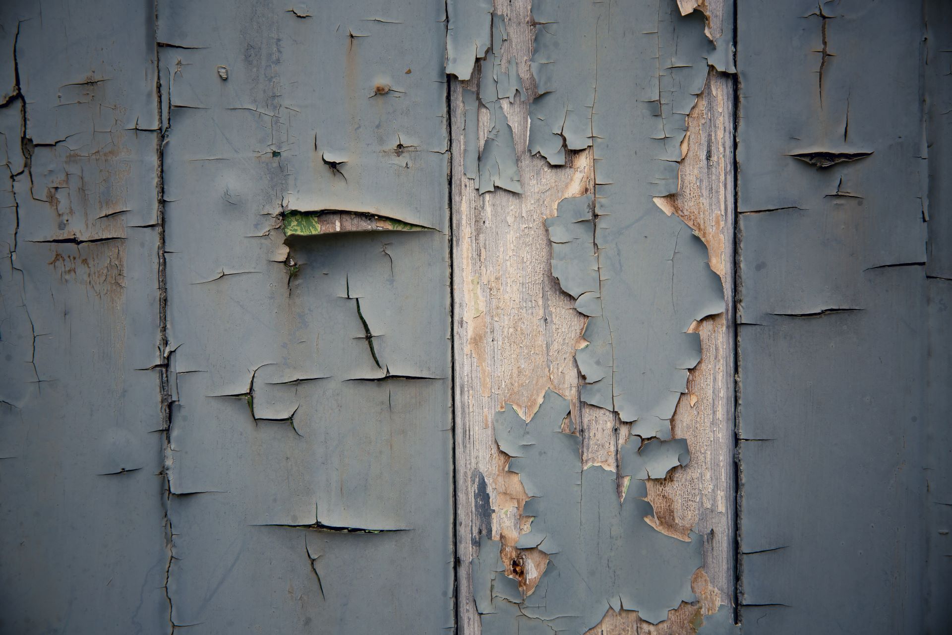 does home insurance cover rotting wood?