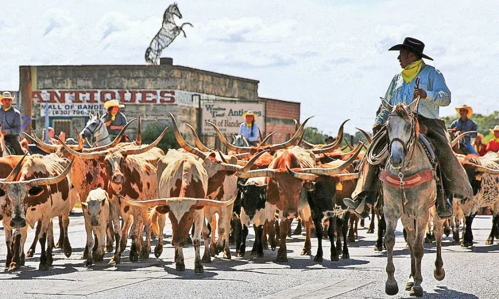 A man is riding a horse with a herd of cattle behind him.