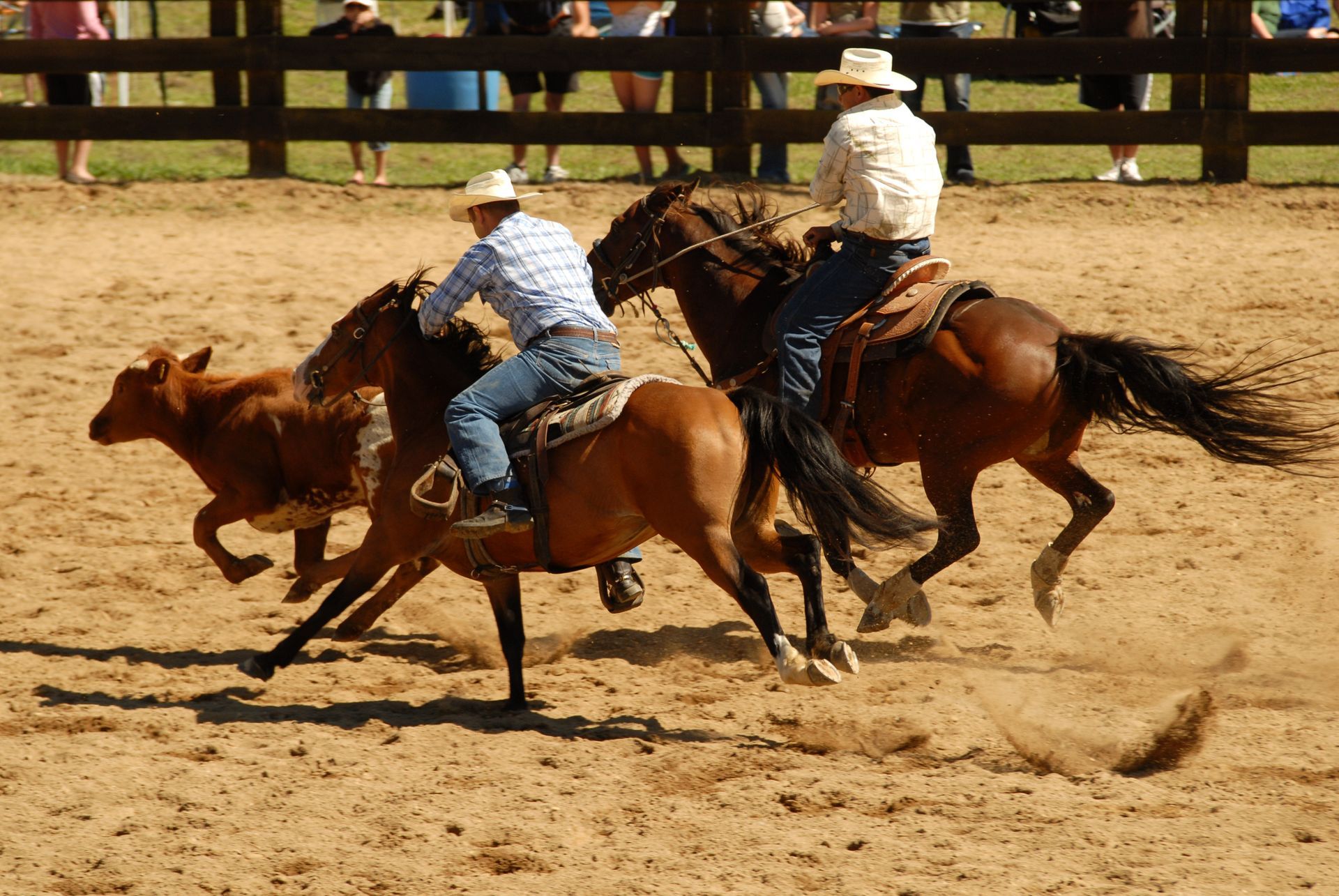Two cowboys are riding horses in a dirt arena