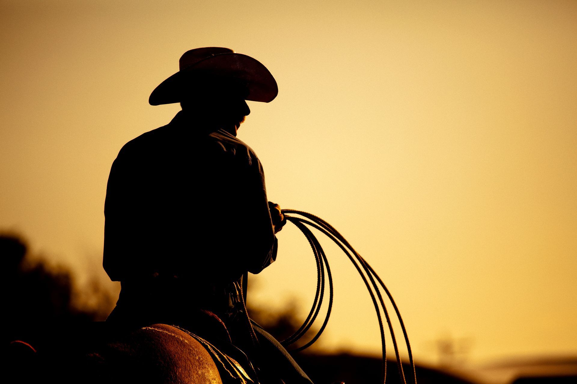 A silhouette of a cowboy on a horse holding a lasso