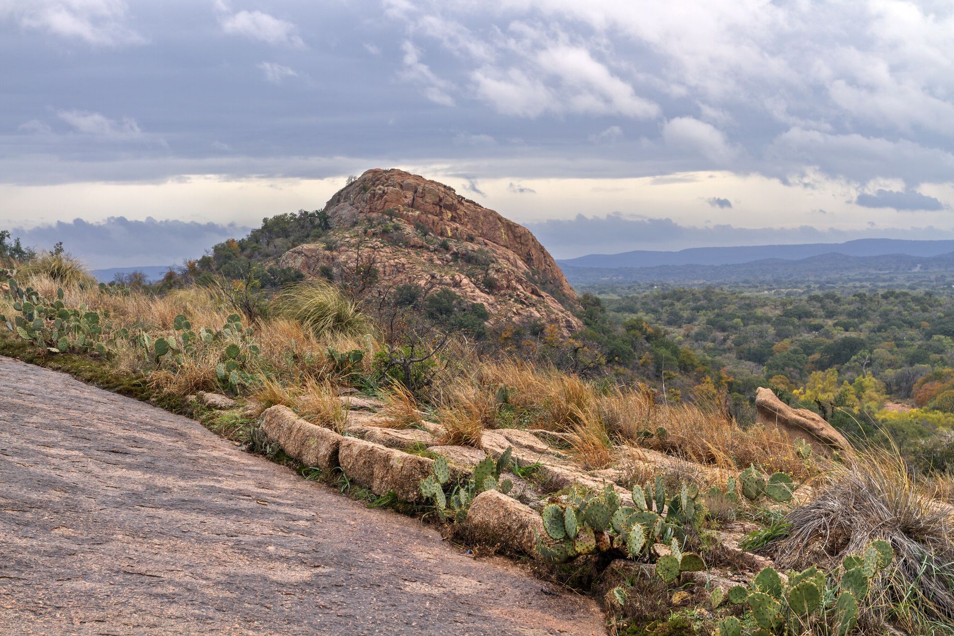 A mountain with cactus growing on the side of it