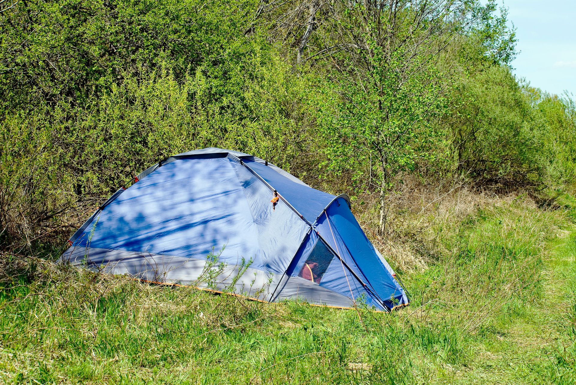 A blue tent is sitting in the middle of a grassy field.