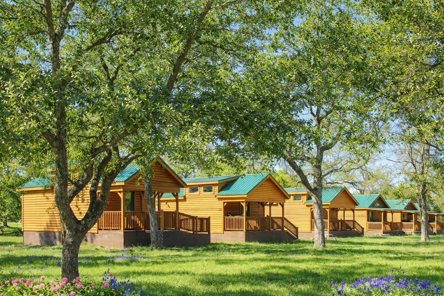 Wooden cabins with turquoise roofs under leafy trees in a sunny grassy clearing
