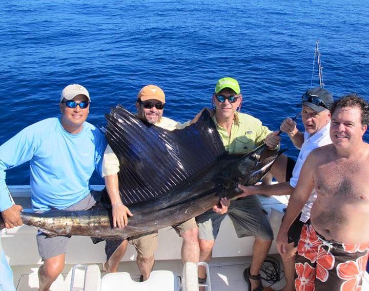 another sailfish catch