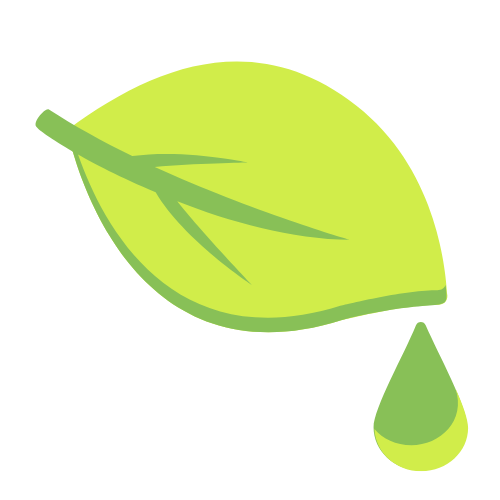 Green leaf with a water droplet falling from it.