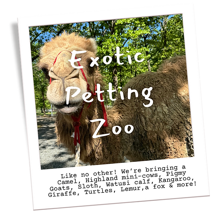 An advertisement for an exotic petting zoo with a picture of a camel