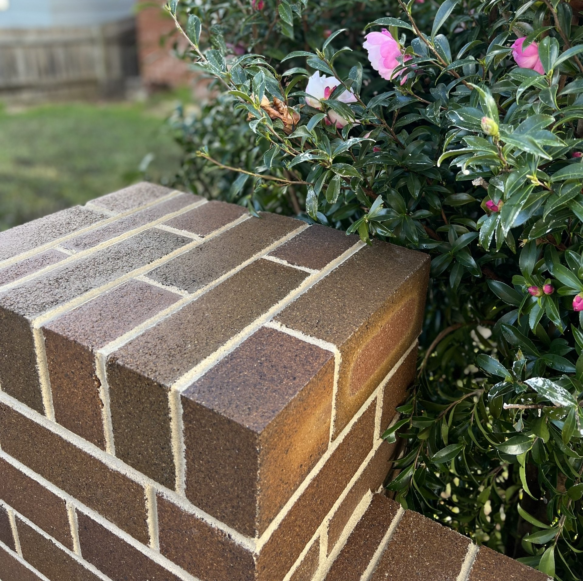 Brick Fence -Enfield, NSW - COB Bricklaying