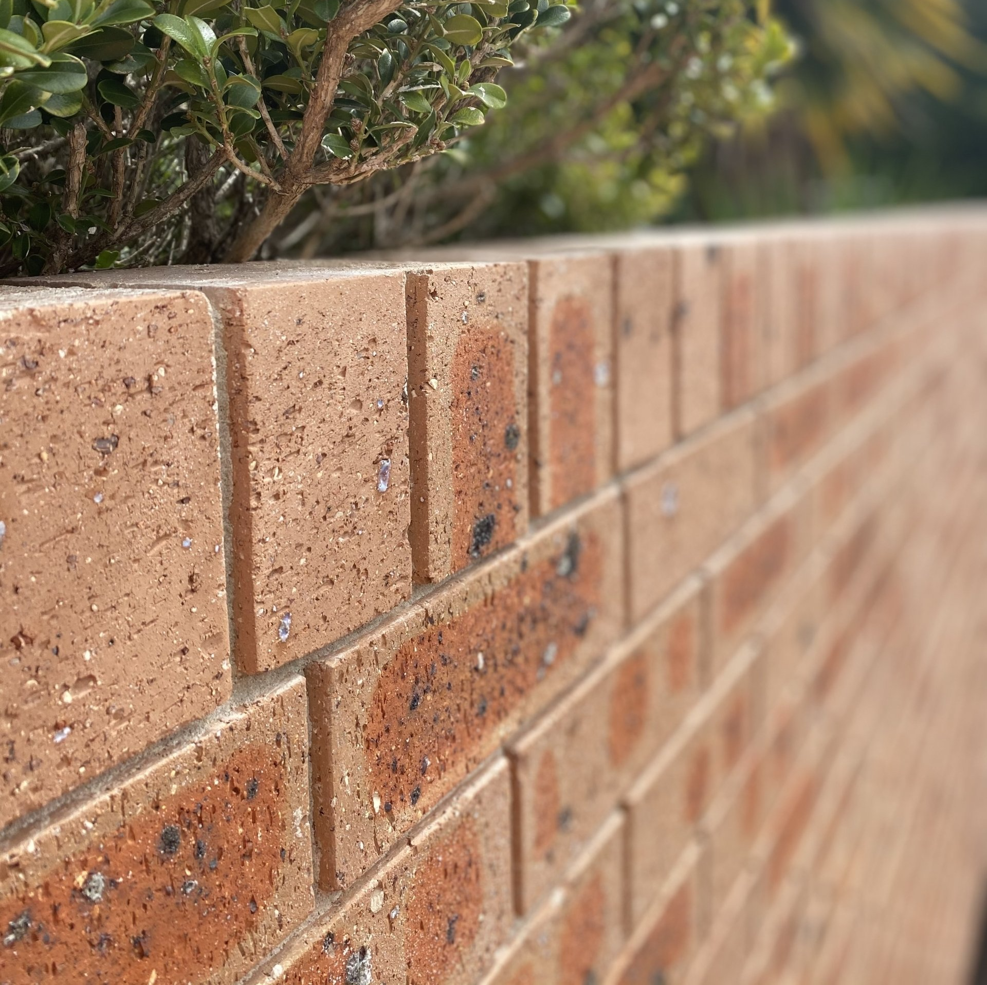 Brick Fence Installation -  Enfield, NSW - COB Bricklaying