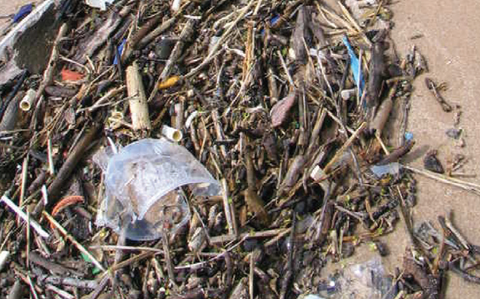 Hypodermic Needles Washed Up On Beaches