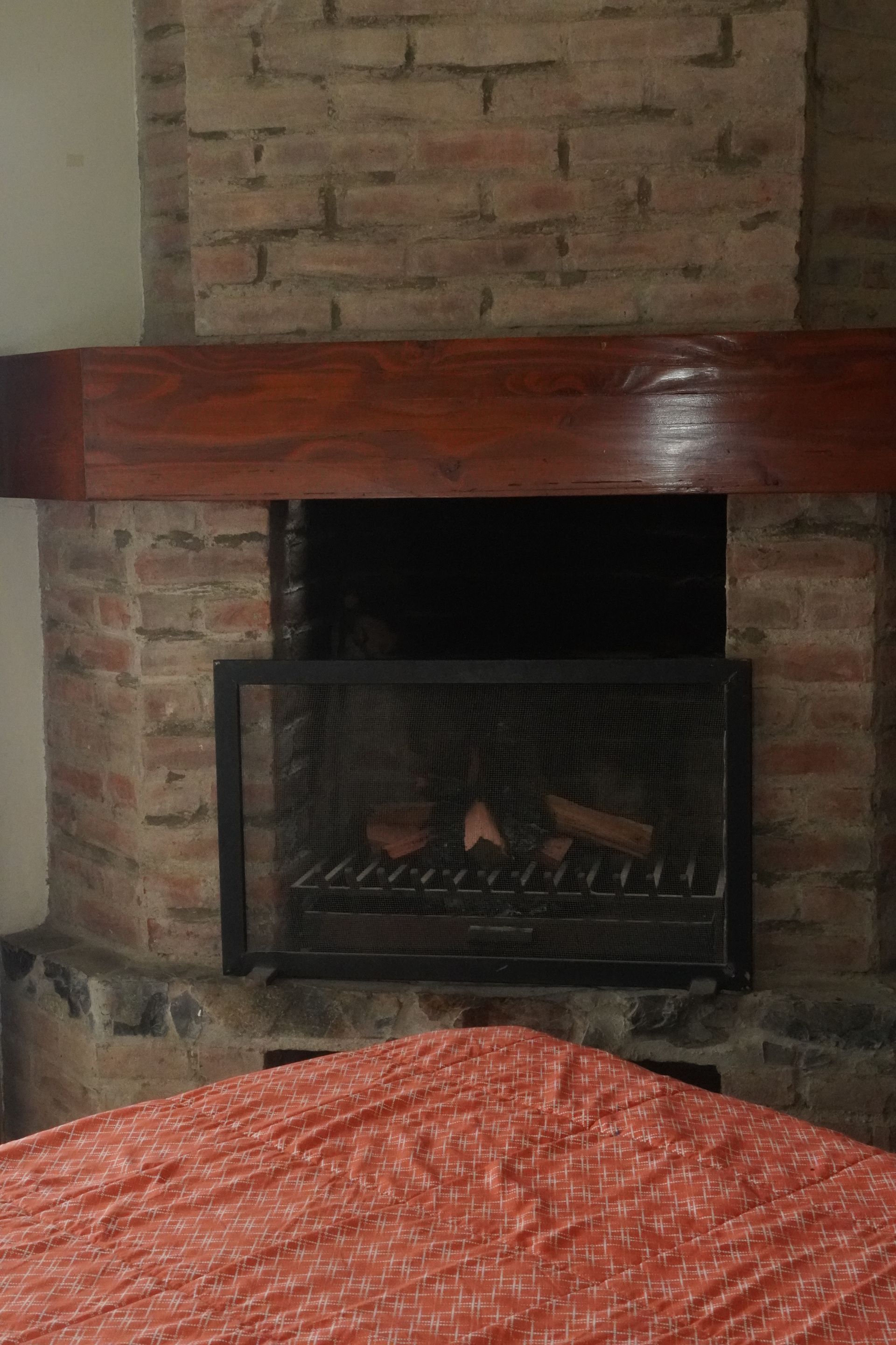 Brick fireplace with a wooden mantel, a black screen, and a red patterned fabric in front.