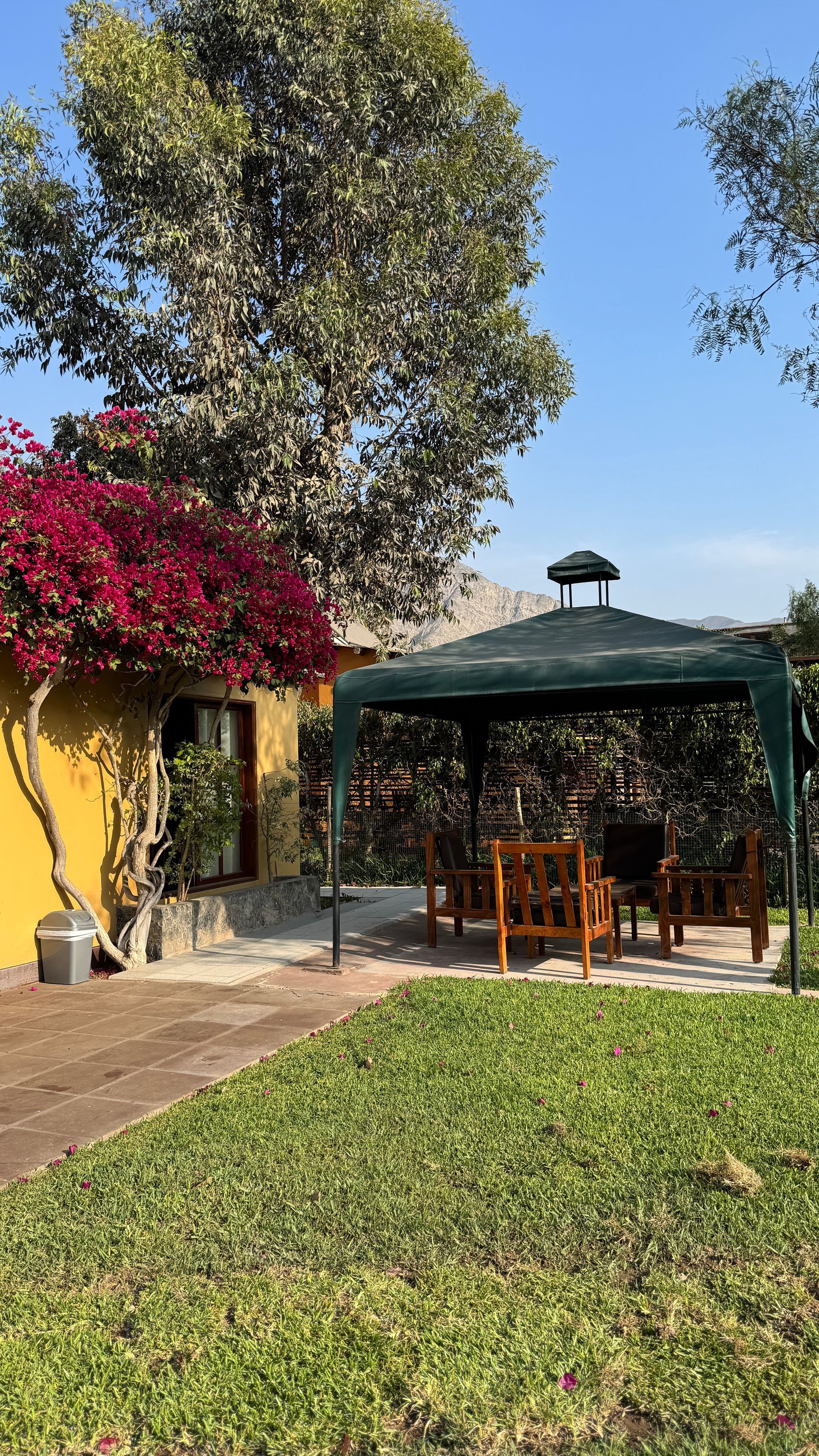 Yellow building with red flowers, green gazebo with chairs, and a grassy yard under a blue sky.