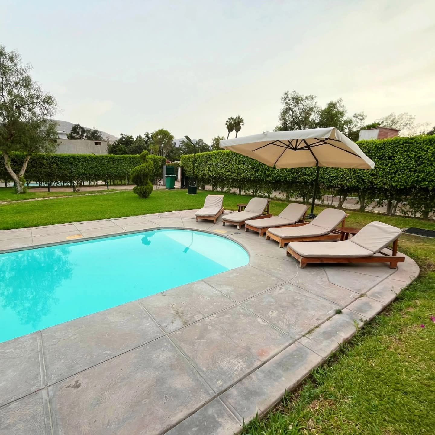 Pool with lounge chairs and umbrella on a grassy area, surrounded by hedges.