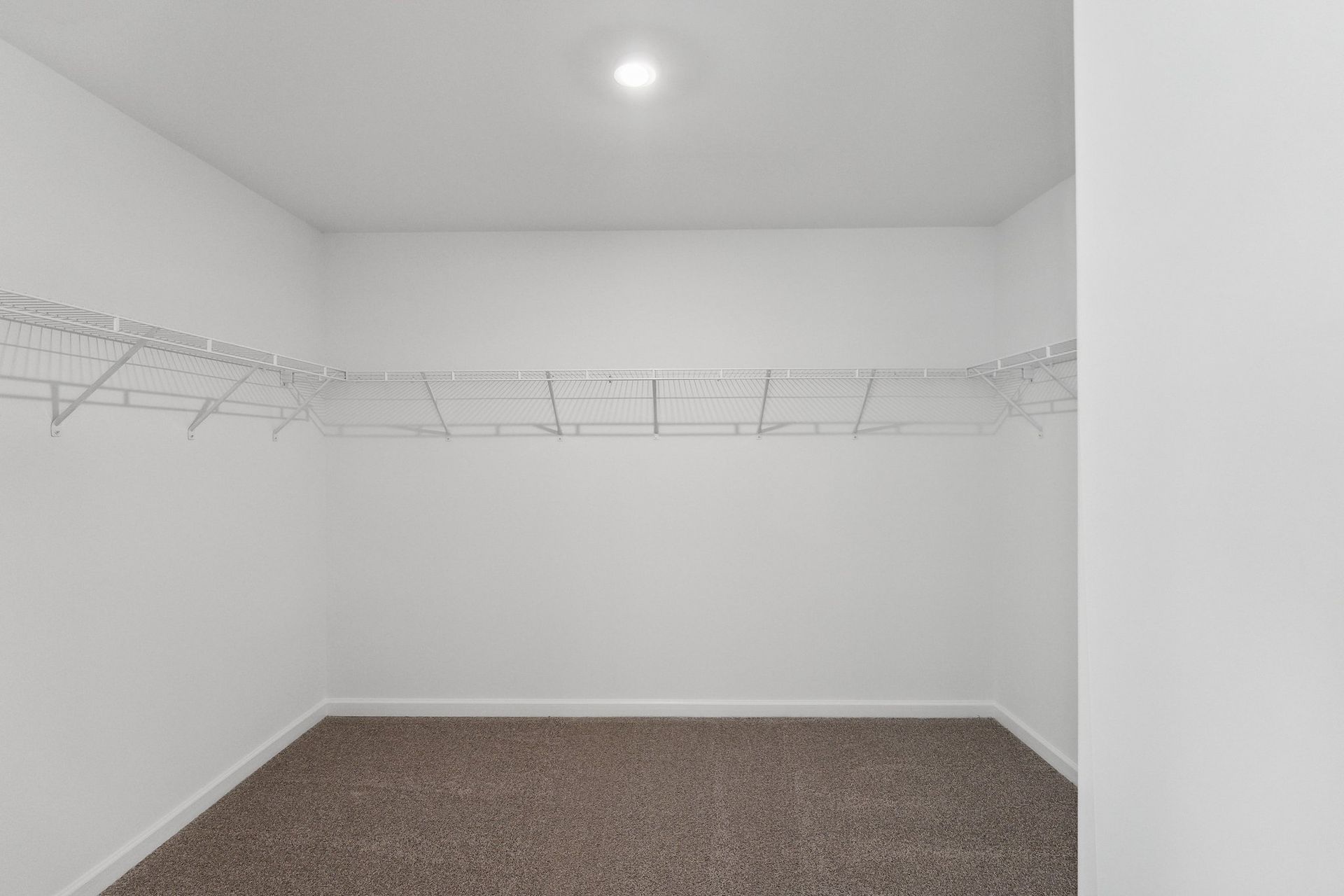 An empty walk in closet with a carpeted floor and wire shelves.