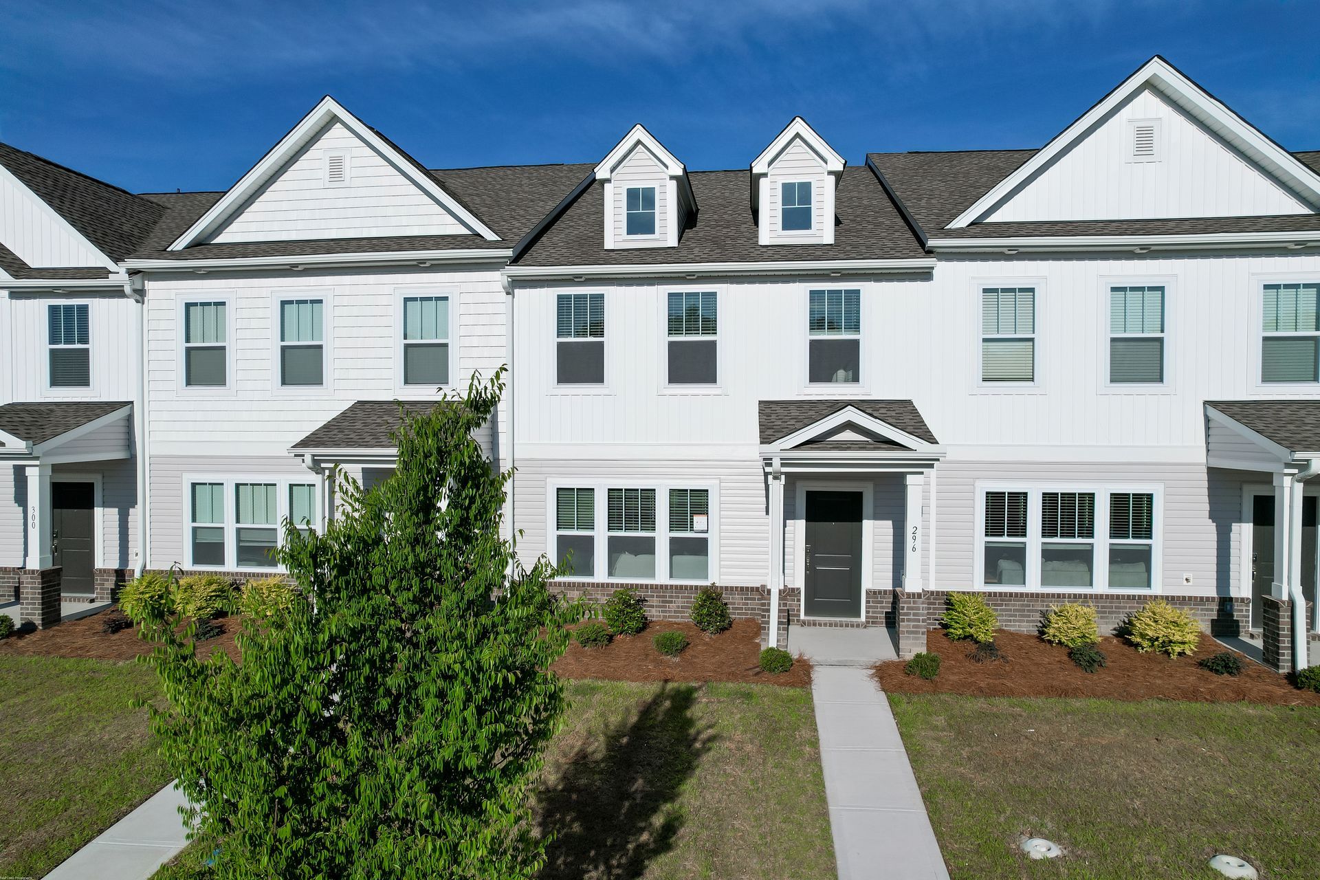 A row of white houses with a tree in front of them