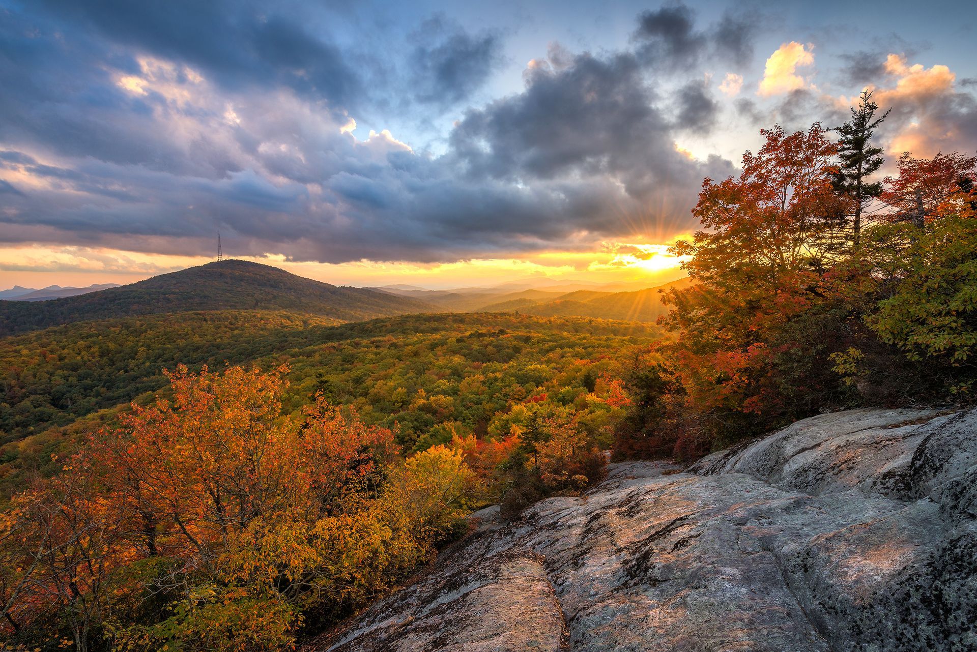 The sun is setting over a forest with trees in the foreground and a mountain in the background.