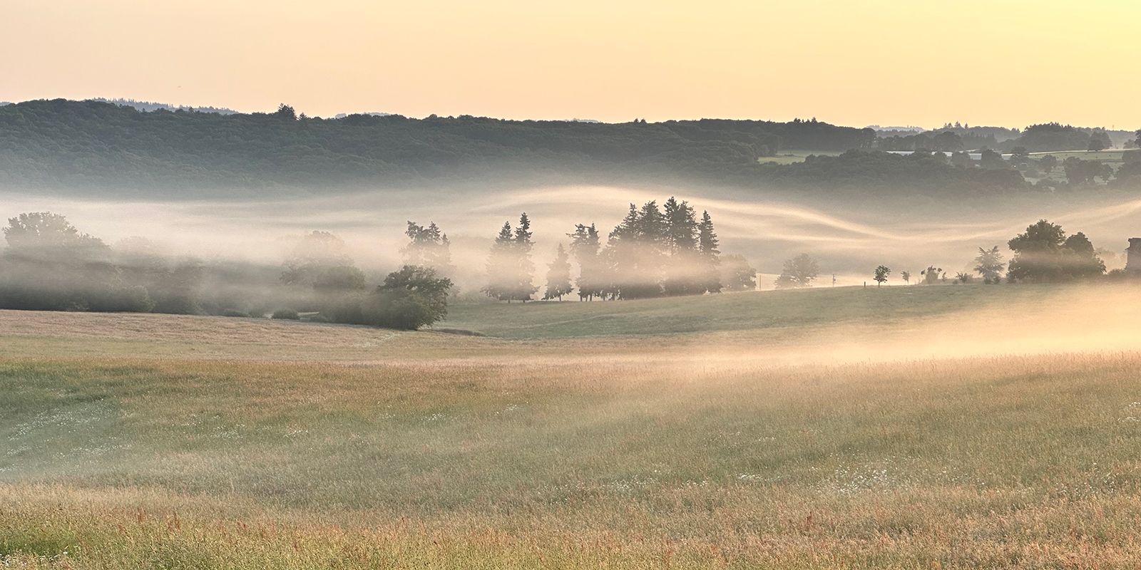 Landschap Limousin rondom Le Veau Vert