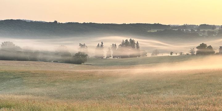 Landschap Limousin rondom Le Veau Vert