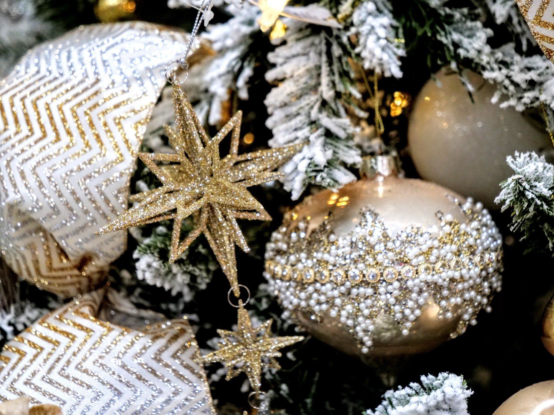 Saline Nursery Saline, MI KBK Garden Center