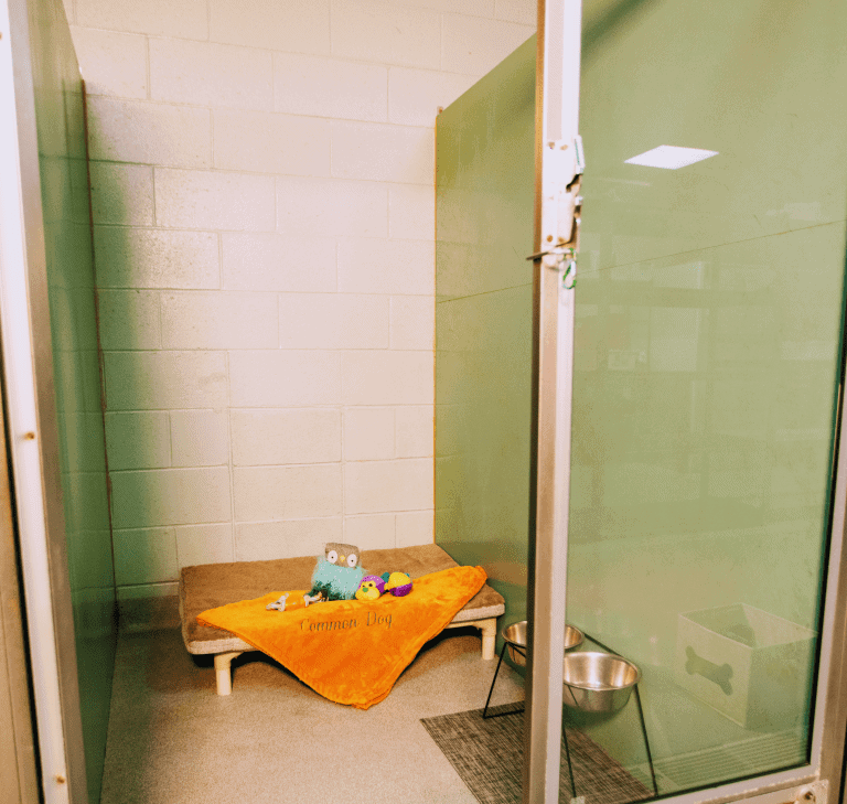 A dog kennel with a bed and a bowl