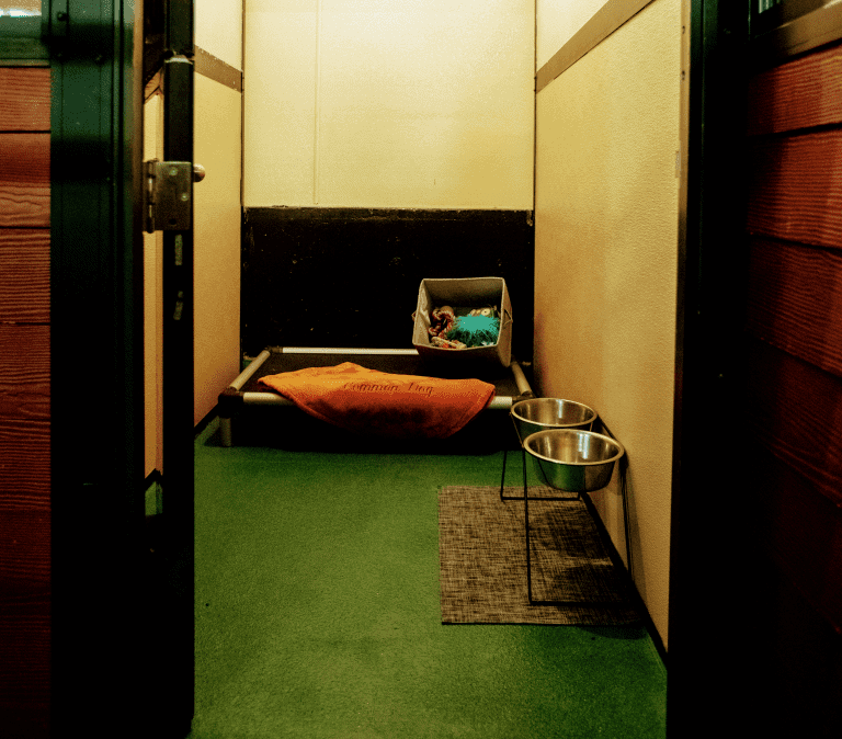 A room with a dog bed and two bowls on the floor