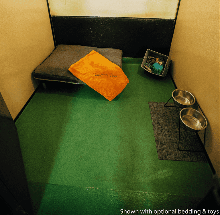 A picture of a room with a bed and bowls with the caption shown with optional bedding and toys
