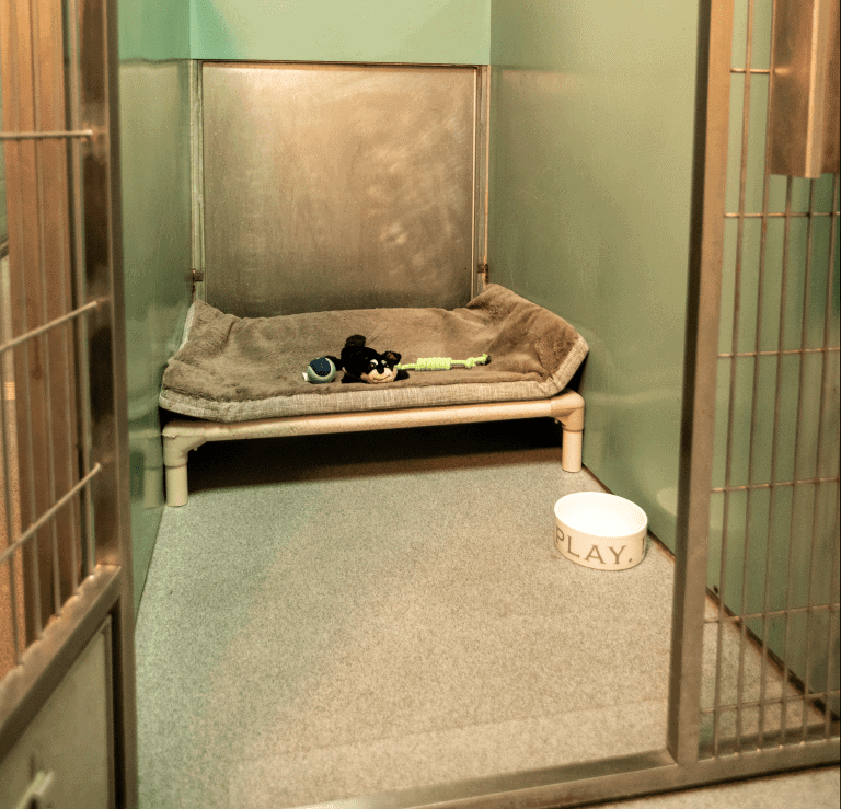 A small room with a dog bed and a bowl that says play