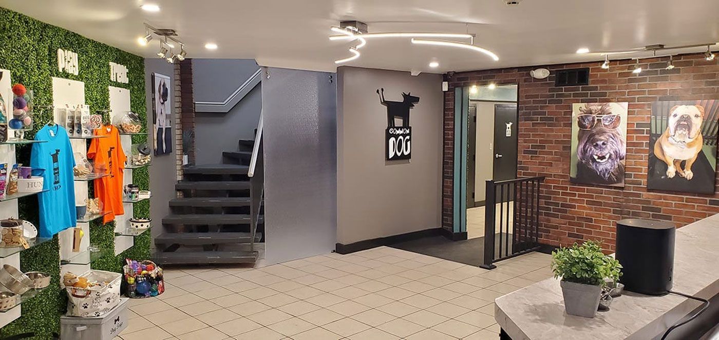 A room with a staircase and a table in it.