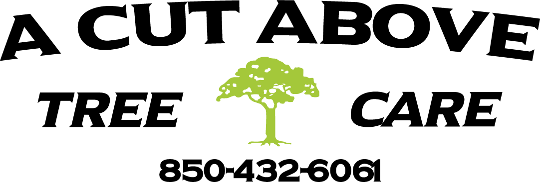 A Cut Above Tree Care, Inc.