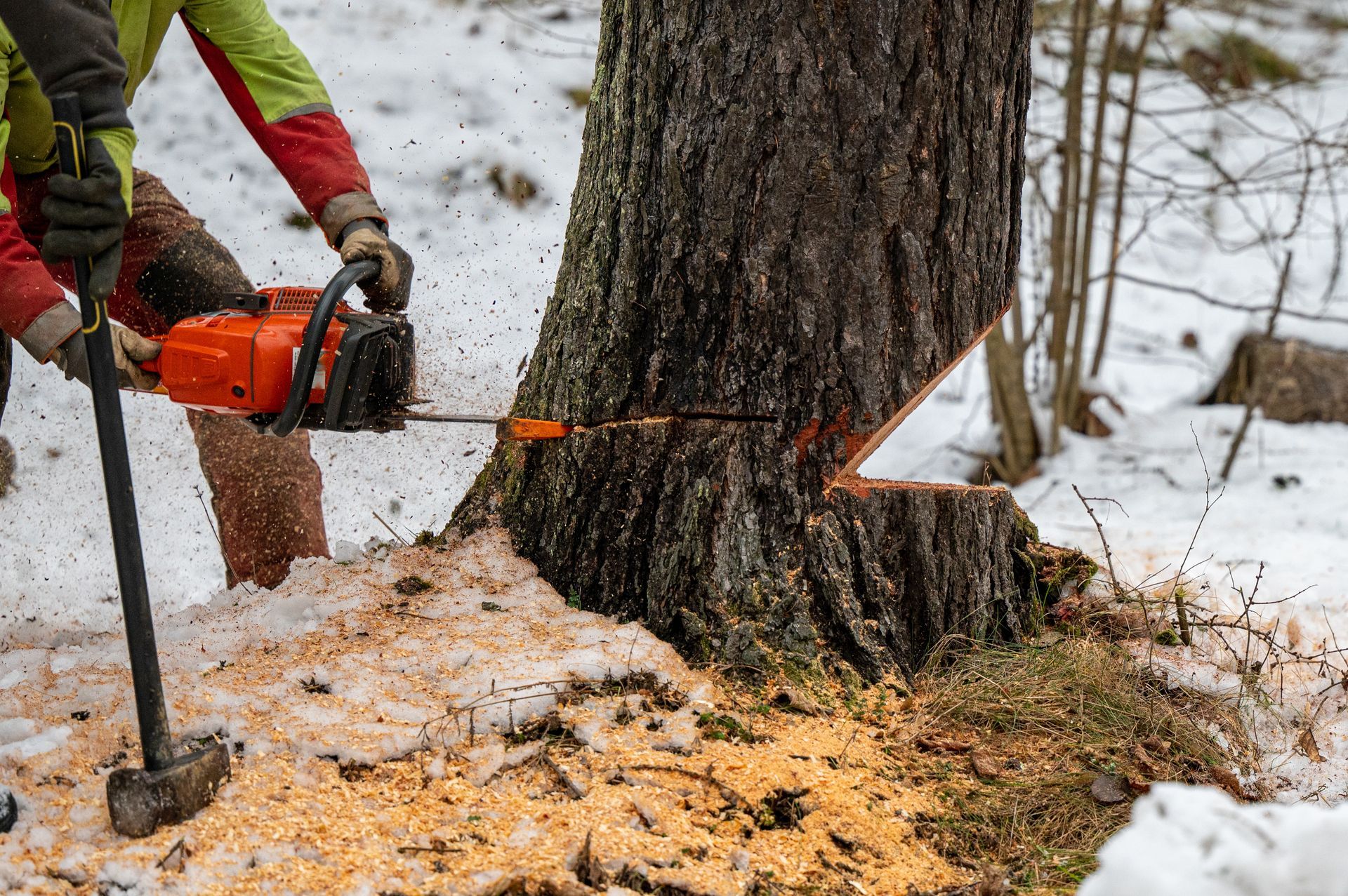 Person using a chainsaw to cut down a tree trunk in a snowy forest.