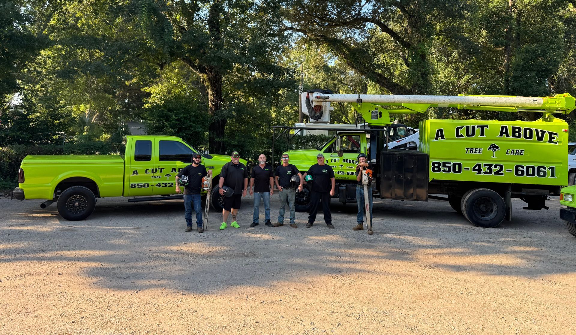 Crew of tree service company.