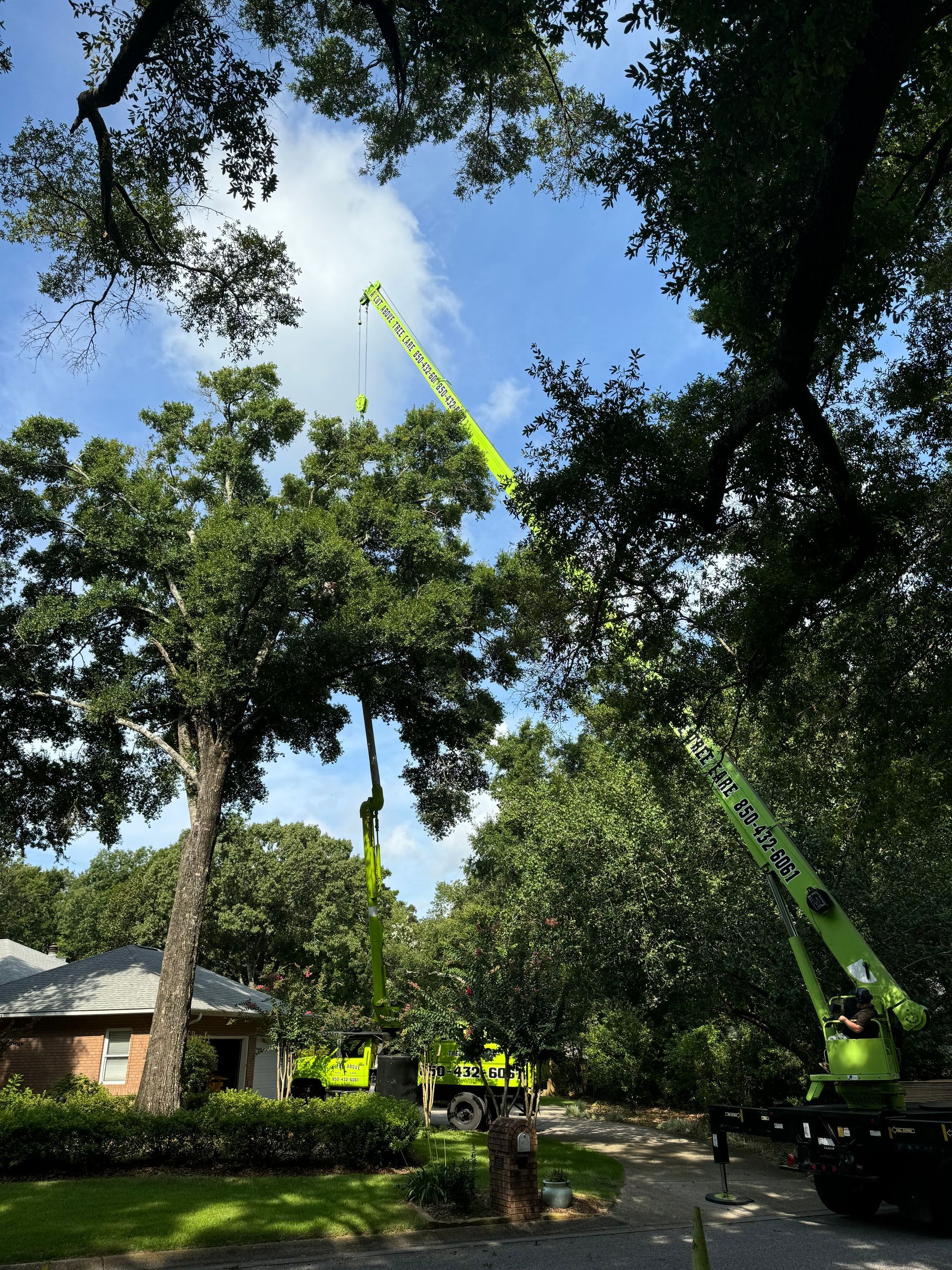 Green crane trimming a large tree near a house, under a blue sky.