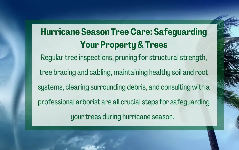 Text about hurricane season tree care on a cloudy, green background, with palm trees.