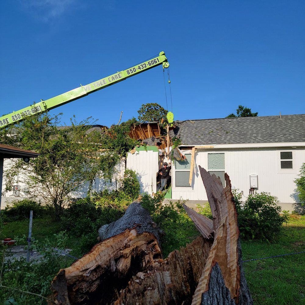 A damaged house with a crane nearby; tree debris in the foreground, blue sky.