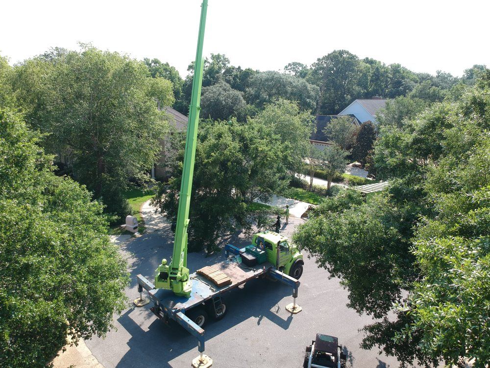 Green crane truck with extended arm reaching up to trees in residential area.