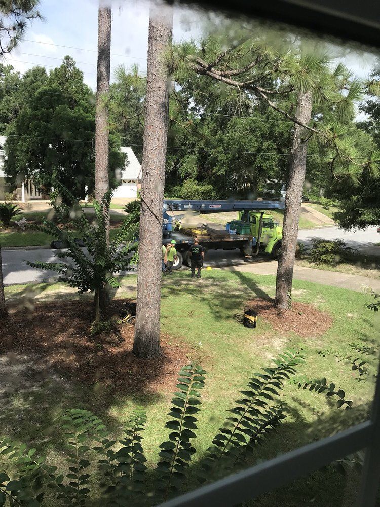 A green tree service truck with workers in a yard removing a tree, seen through a window.