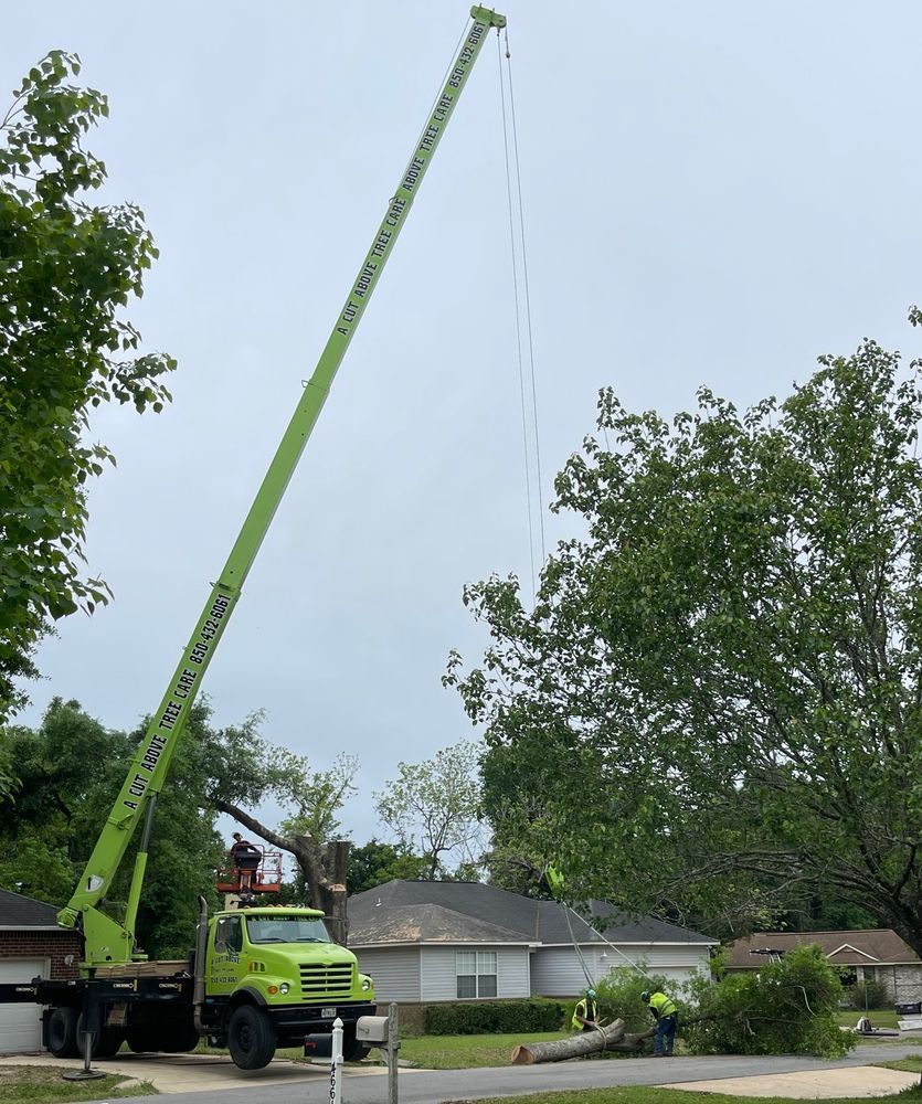 Green truck with an extended crane trimming a tree in a suburban neighborhood.